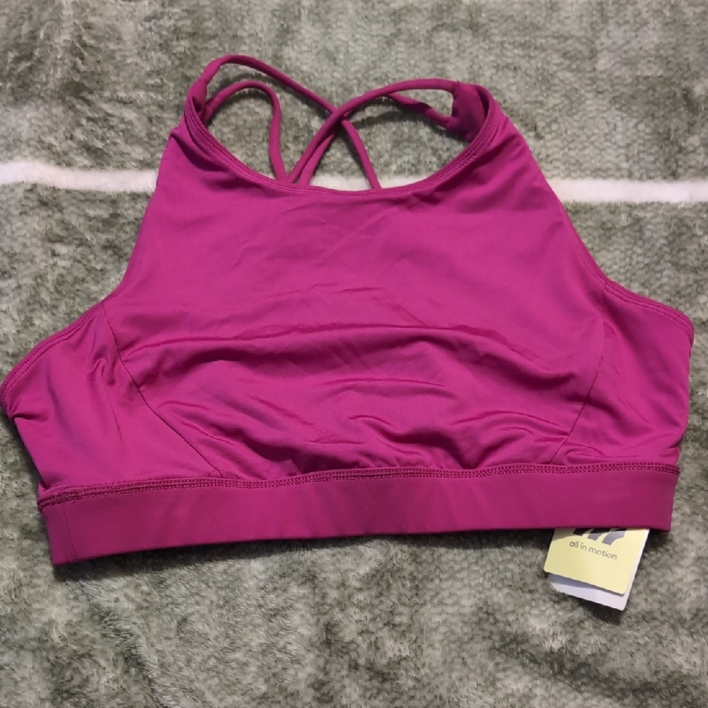 All in Motion Magenta Sports Bra